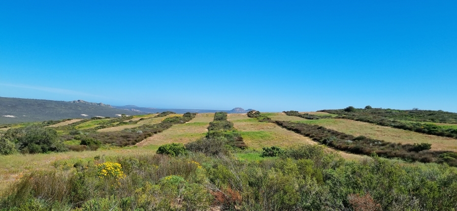 0 Bedroom Property for Sale in Redelinghuys Western Cape